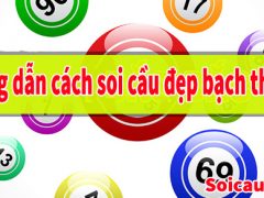 Cách soi cầu bạch thủ lô miền Trung hôm nay hiệu quả